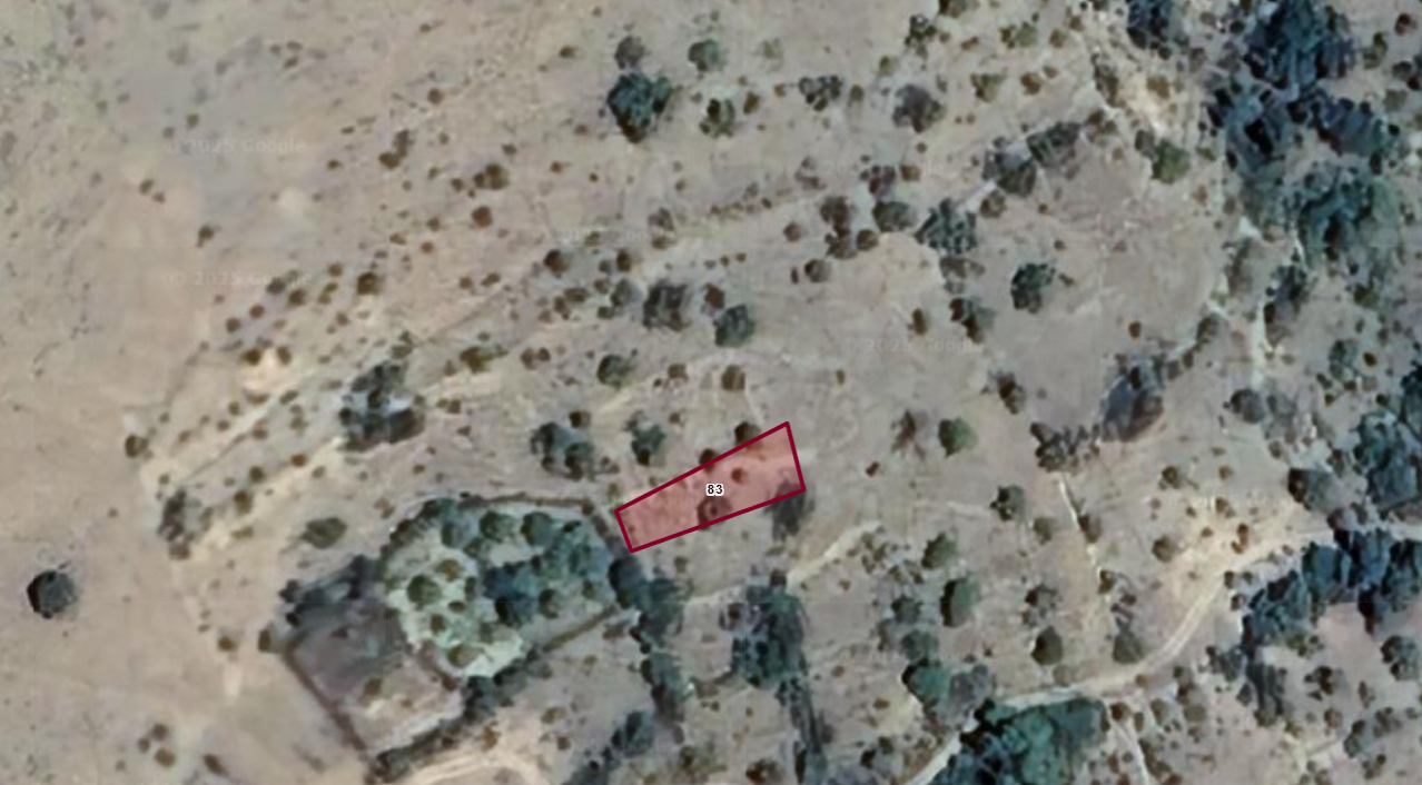 TOKAT ZİLE ALAYURT KÖYÜNDE 600 M² BAĞ SATILIKTIR.